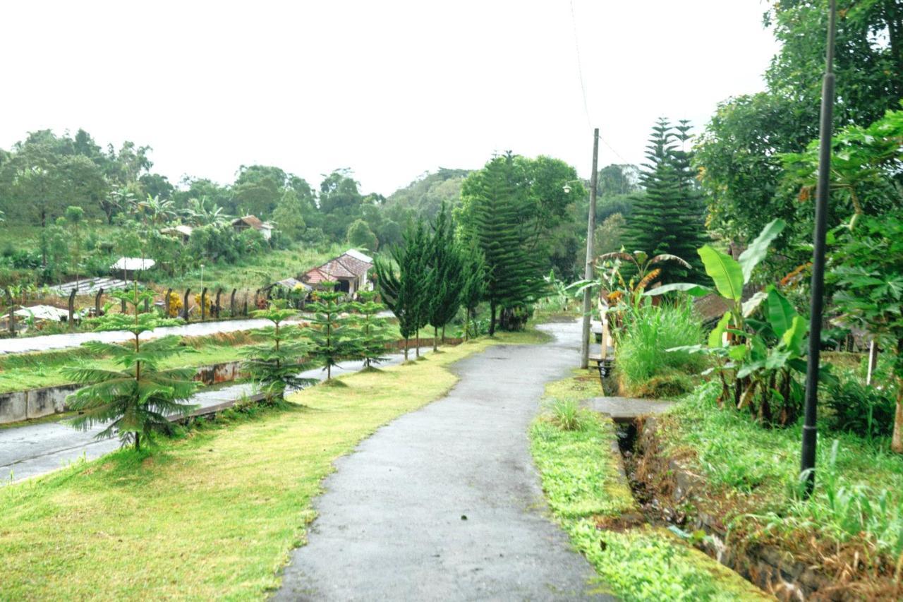 Tunjung Sari Villa Bedugul Bedugul  Eksteriør billede